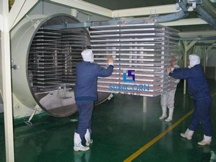 High Safety Large Food Lyophilizer 10sqm 100kg Capacity With Stainless Trays
