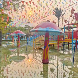 Small Animal Splash Park Outdoor Entertainment Water Splash Pad