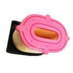 Engine Air Filter 17953160-0 C 23 220 AF27827 XA2047 C23220