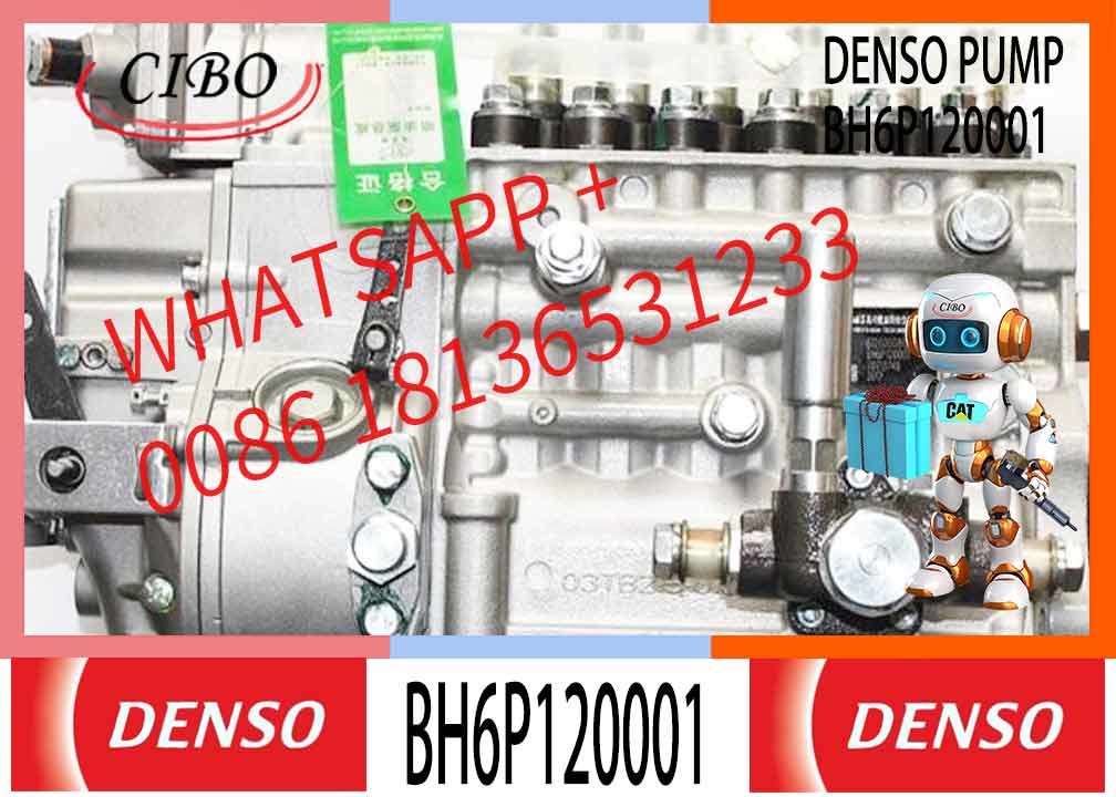New Diesel Fuel Injector pump 612600081228 612600081228 BHT6P120R TRQV-K300-1100P for WEICHAI618.42Q 6P1191 BH6P120015