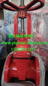 China (ANSI) Cast Iron Gate Valve Flanged Ends wholesale