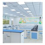 Flameproof Biology Laboratory Furniture , Anti Corrosion Student Lab Furniture