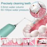 FC3920 Style 130ml Waterproof Teeth Cleaner Water Jet