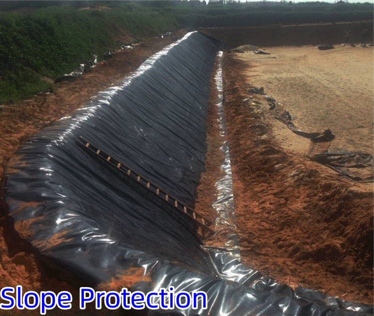 50m-100m/roll Length Anti-Aging Geomembrane for Fish Ponds Online Technical Support