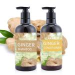 Herbal Beauty Hair Shampoo Dandruff Hair Loss Hair Growth Ginger Shampoo