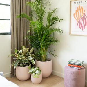 China Fiberglass Flower Pots Light Weight GRP Planter Box For Outdoor Indoor Decor wholesale