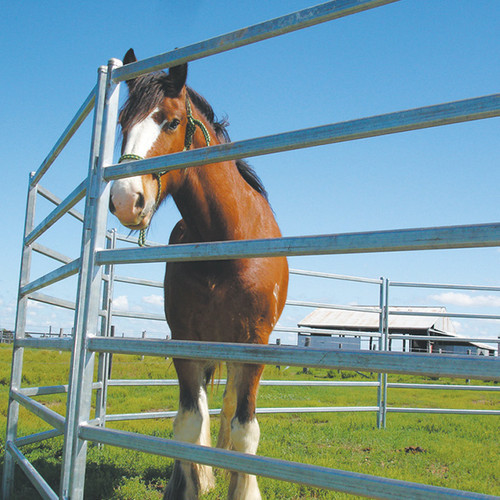 9.0m Diameter Horse Round Yard Panel 13Pcs incl. 3m tall Gate 2.1m height