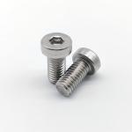 DIN 7984 SS304 automotive bolt Low Profile Head Hexagon Socket Cap Screws