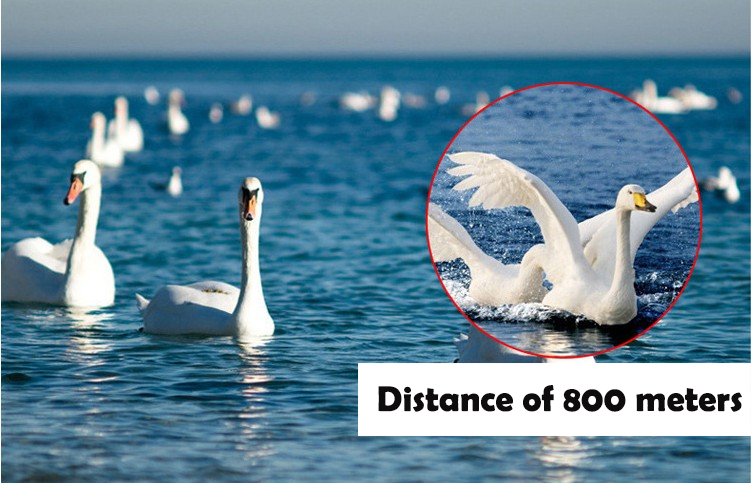 10X40 Outdoor Hiking Mini Monocular Telescope Bird Watching Prism FMC With Smartphone