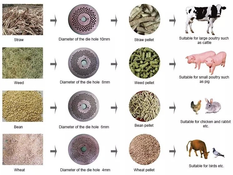 Energy-saving new fully automatic and efficient poultry farm feed pellet production line