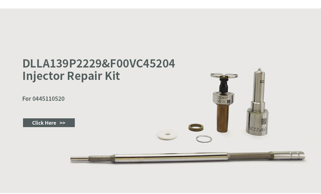 DLLA139P2229 Common Rail Nozzle For Injectors 0445110418/520