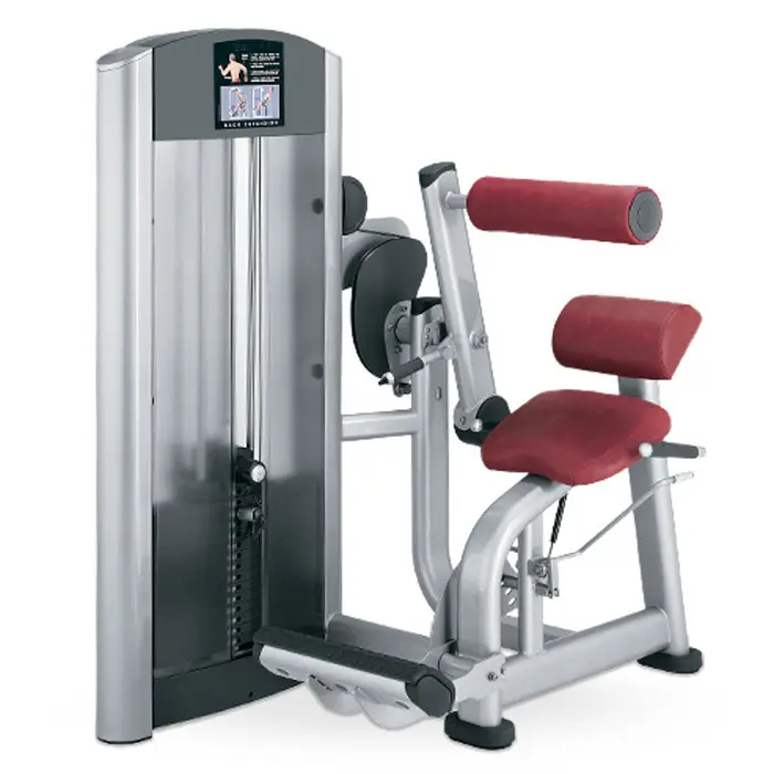 Commercial Gym Equipment Adjustable Back Extension Machine Pin-Loaded Abdominal Trainer