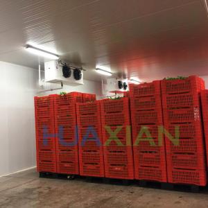 China China Industrial Fresh-Keeping Apple/Orange/Onion/Potato Cold Storage Large Cool Refrigeration Room wholesale