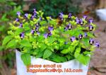 Planter Bags, Grow Bags, Cultivating Bags, Nursery Pot, Greenhouse, Agricultural