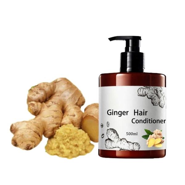 Hair-Loss Prevention 2-IN-1 Formula Organic Ginger Shampoo for Professional Hair