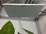 AC 265V 660nm Quantum Board Light For Farming