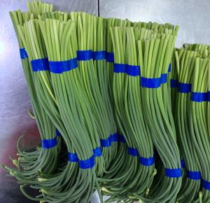 China Length 45cm Fresh Garlic Bolt Garlic Sprout 10kgs/Carton wholesale
