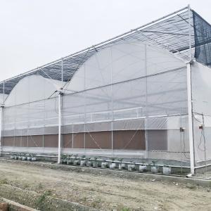 China Hydroponic Growing Systems Greenhouse Low Cost Greenhouse Agriculture Plastic Greenhouse wholesale