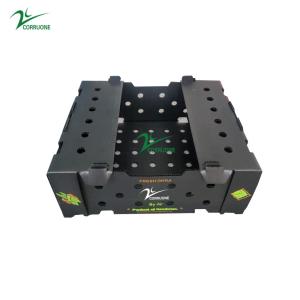 China Customizable Fruit Corrugated Boxes Flat Surface wholesale
