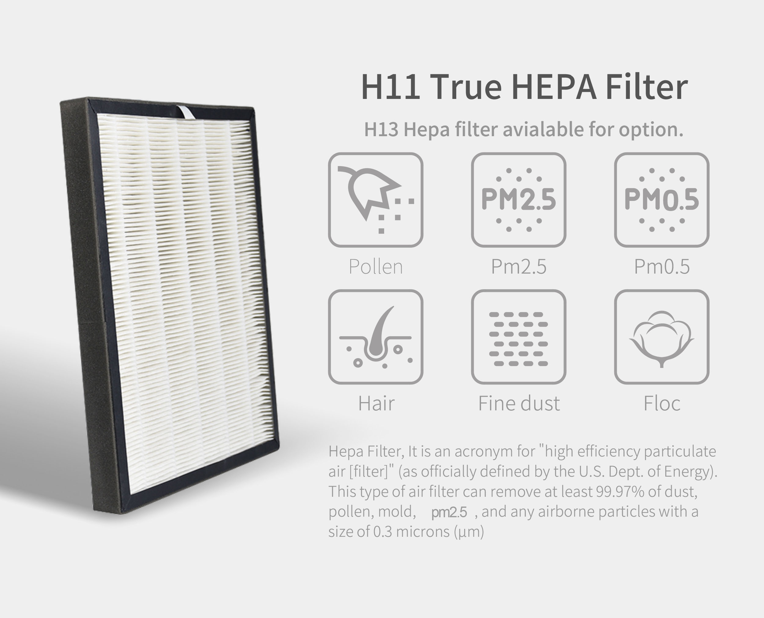 HOMEFISH OEM Air Scent Diffuser HEPA Filter Smart Air Purifier 220V