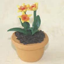 China Model Ceramic pot Flower CF61 wholesale