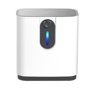China Low Noise Medical Household Oxygen Concentrator For Kids Support OEM wholesale