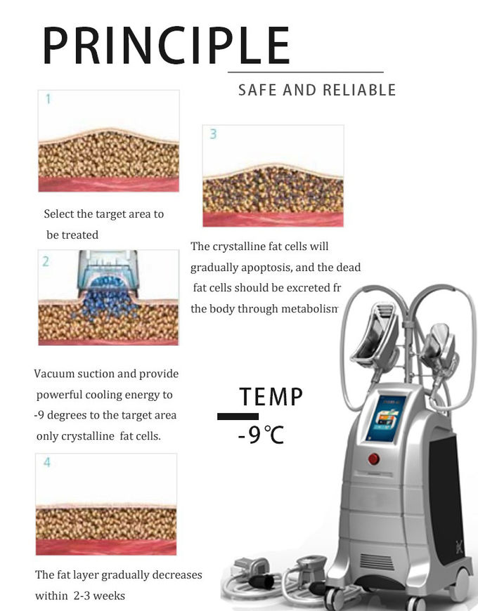 HOTTEST 4 handpiece professional Cryolipolysis Machine, Cryolipolysis Slimming Machine, Cryolipolysis Fat Freezing Machi