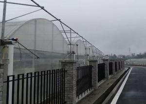 China Agricultural Hydroponic Venlo Glass Greenhouse High Efficiency Energy Saving wholesale