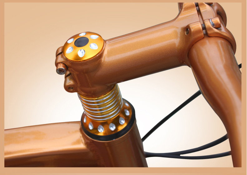 Gold 30 Speed 26x4.0 Inch Fat Wheel Mountain Bike