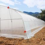 Customized Tunnel Cover Reinforced Clear Greenhouse Plastic Sheeting