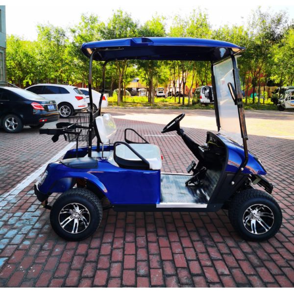 Export EV 2 Seater Golf Cart 48V 3.5KW AC System Good Quality Golf Trolley