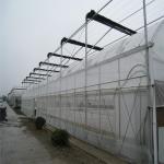Multi Span Film Greenhouse Structure Commercial Frames Large Plants Growing