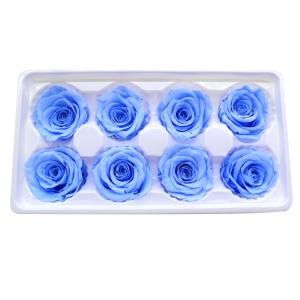 China Beautiful Long Living Preserved Rose Heads Easy Care No Need Water wholesale