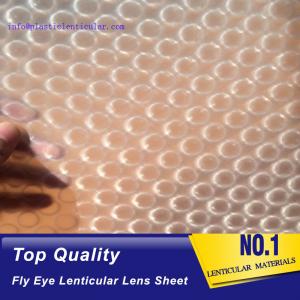 China PLASTIC LENTICULAR fly-eye lenticular sheet lens array good quality 0.5MM PP fly sheet printing film lenticular dot lens wholesale