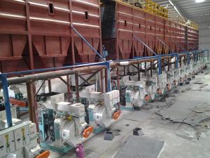 China Malaysia 8mm Pellet Making Equipment Wood Biomass Pellet Production wholesale