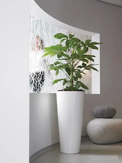 Customizable Fiberglass Flower Planters For Outdoor Gardening Decor