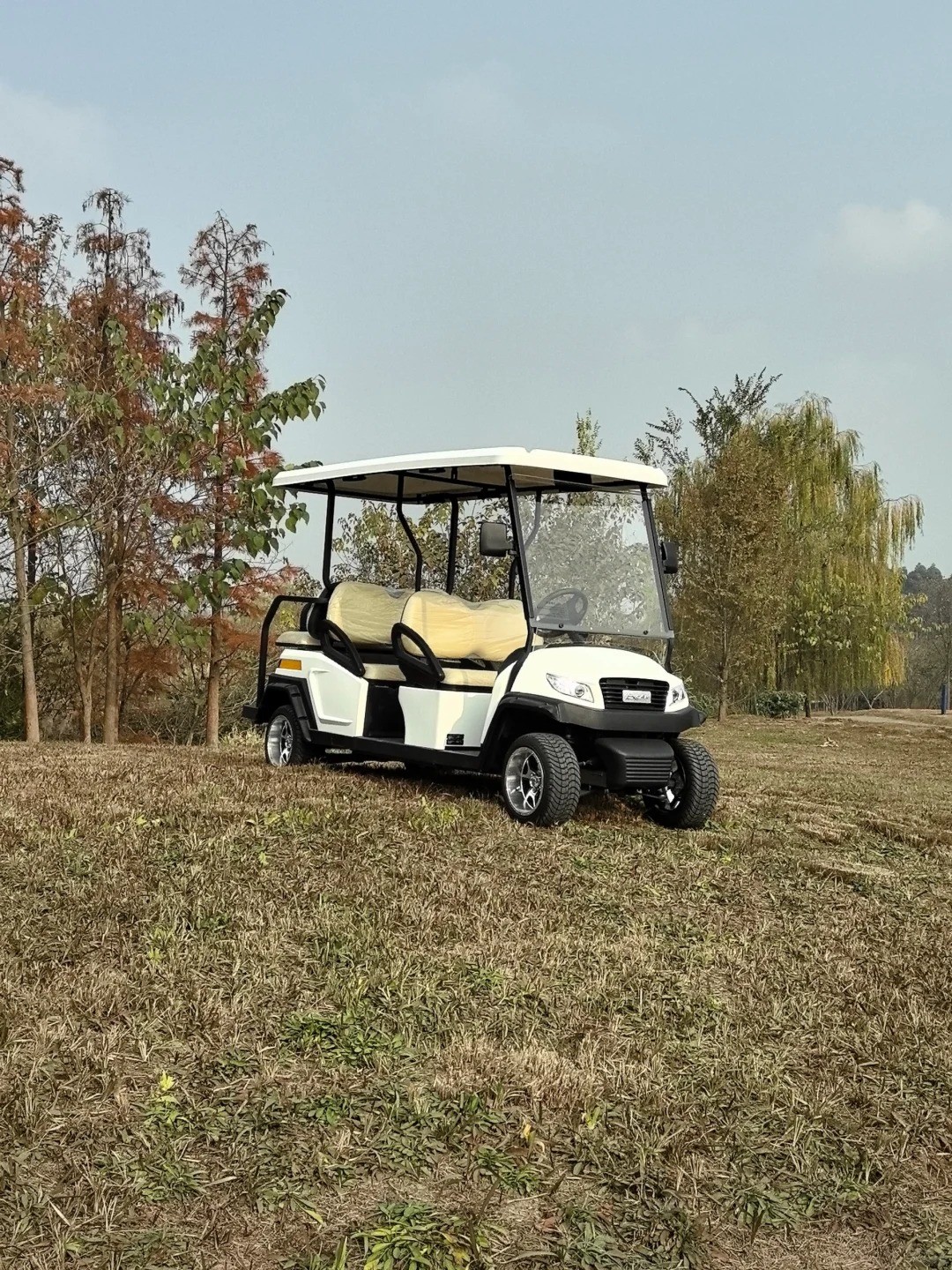 4 Front Seat and 2 Back Seat Electric Golf Cart 48V Lithium Battery Powered