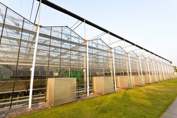 ODM Industrial Agricultural Glass Greenhouse
