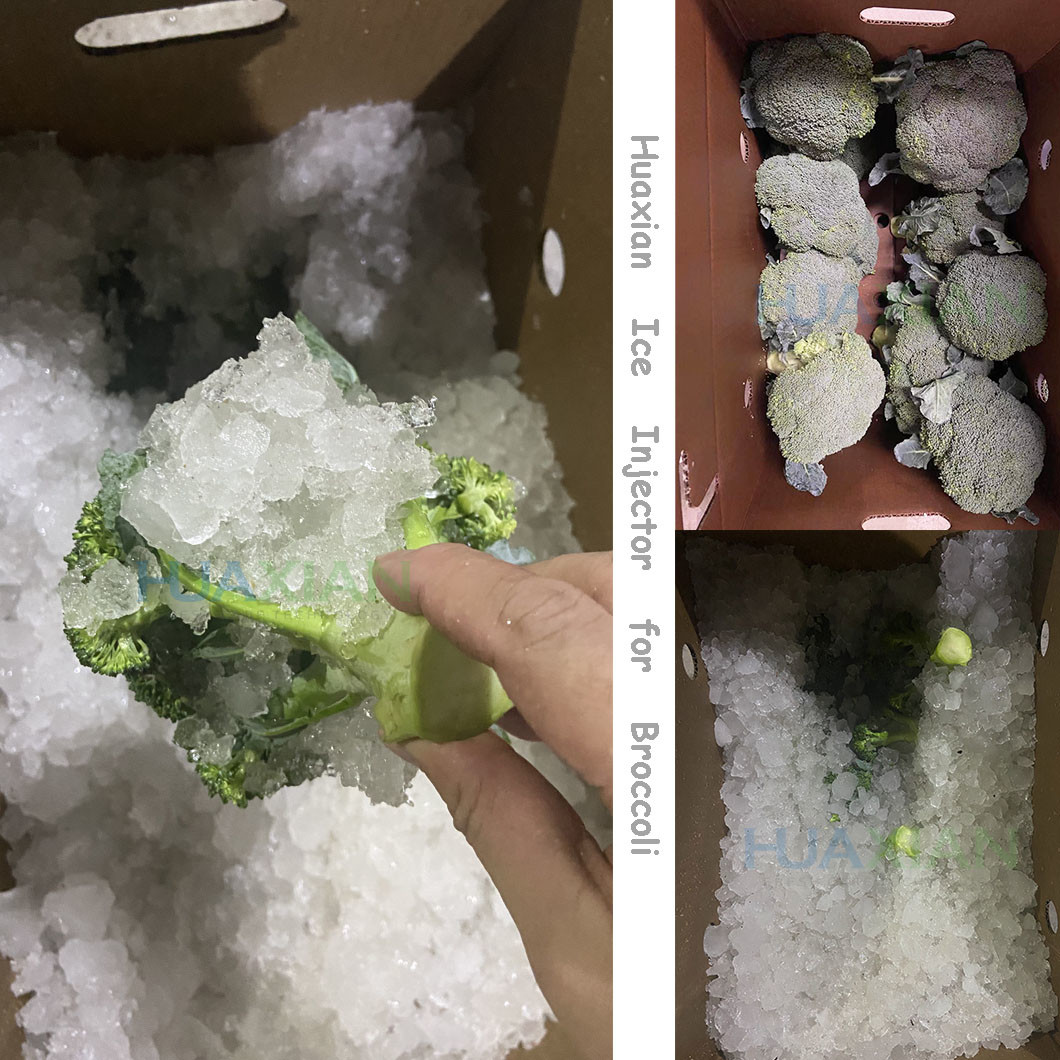 Automatic Broccoli Ice Injector 2mins Fast Processing For Vegetable Farm