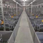 Hot DIP Galvanized Swine Farrowing Pen With BMC Slat