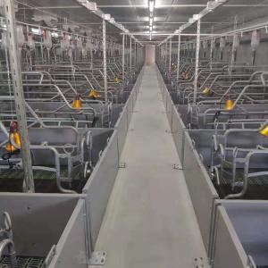 China Hot DIP Galvanized Swine Farrowing Pen With BMC Slat wholesale