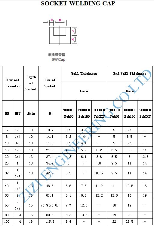 Socket Weld Threaded Pipe Cap , ASTM A182 F22 Forged Steel Pipe Caps Anti Rust Oil