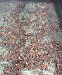 Food Waste Biochar Recycling Plant