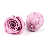6pcs Long Lasting Diameter 5-6cm Preserved Flower Heads
