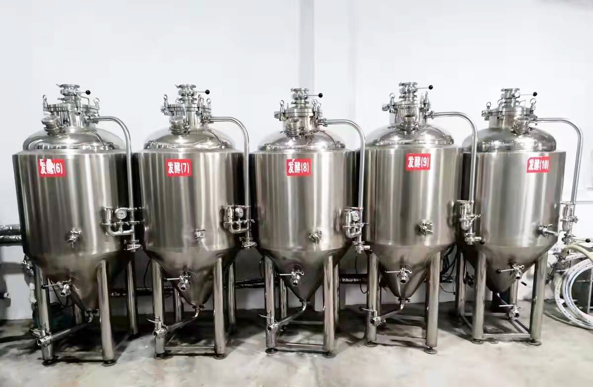 100l 200l 300l Micro Beer Brewing Equipment for Small Farms and Easy Operation