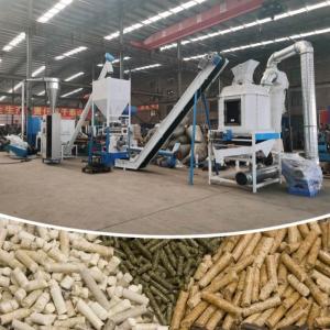 China Chicken Cattle Goat Animal Feed Pellet Production Line Ring Die Pellet Mill wholesale