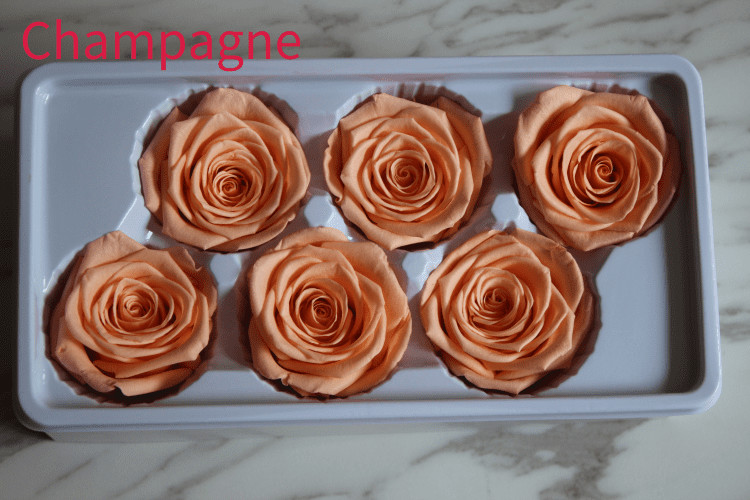Natural preserved fresh flowers for Valentines day Never Withered Flowers Home Decoration