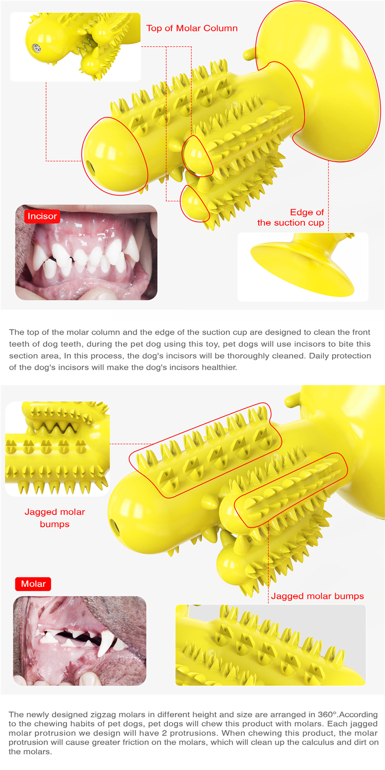 Cactus Shape Tooth Cleaning Cute Pet Toys Dog Bite Toy With Customized Service