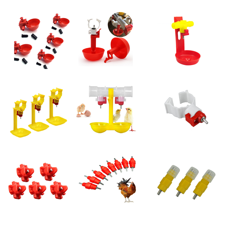 Customized Poultry Chick Line Feeder Broiler House Flooring Tube Chain Conveyor