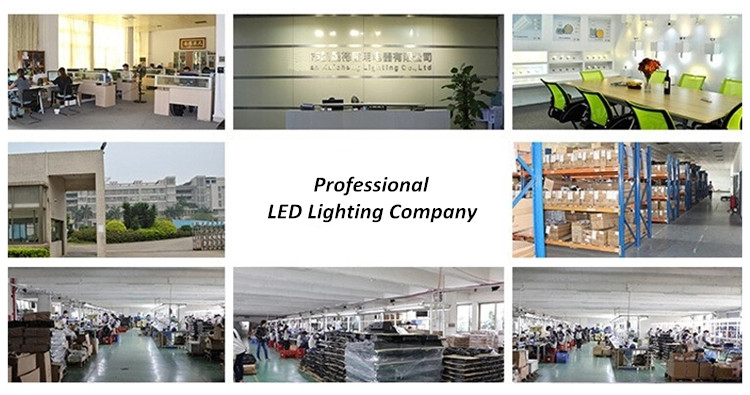 DC 24V LED Wall Washer Light 18w 24w For Facade Wall Lighting Cast Aluminum Housing